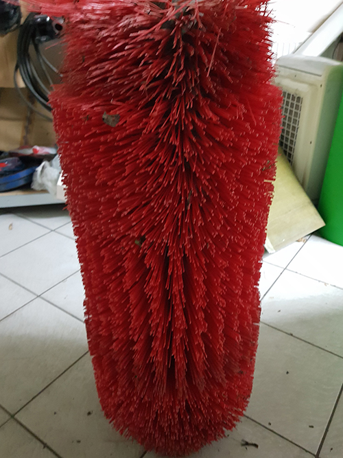 szczotka przed regeneracja